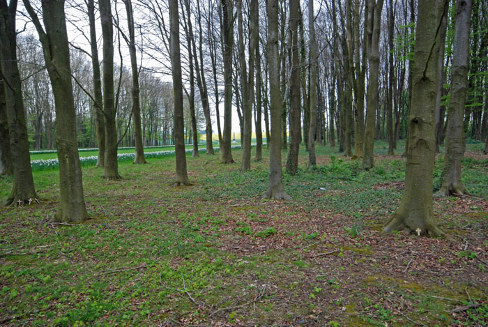 Thiepval11